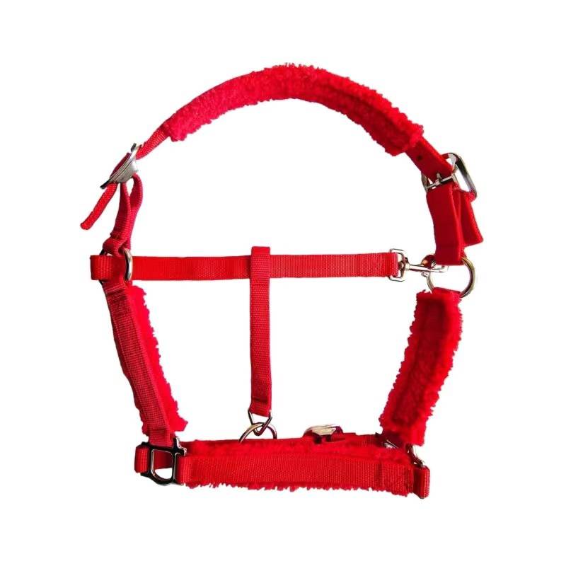 RED S